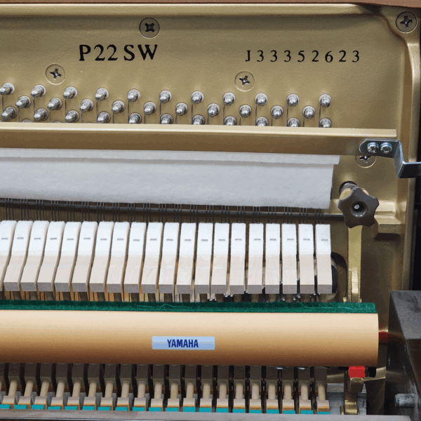 Yamaha P22SW - Little Valley Piano Service, LLC