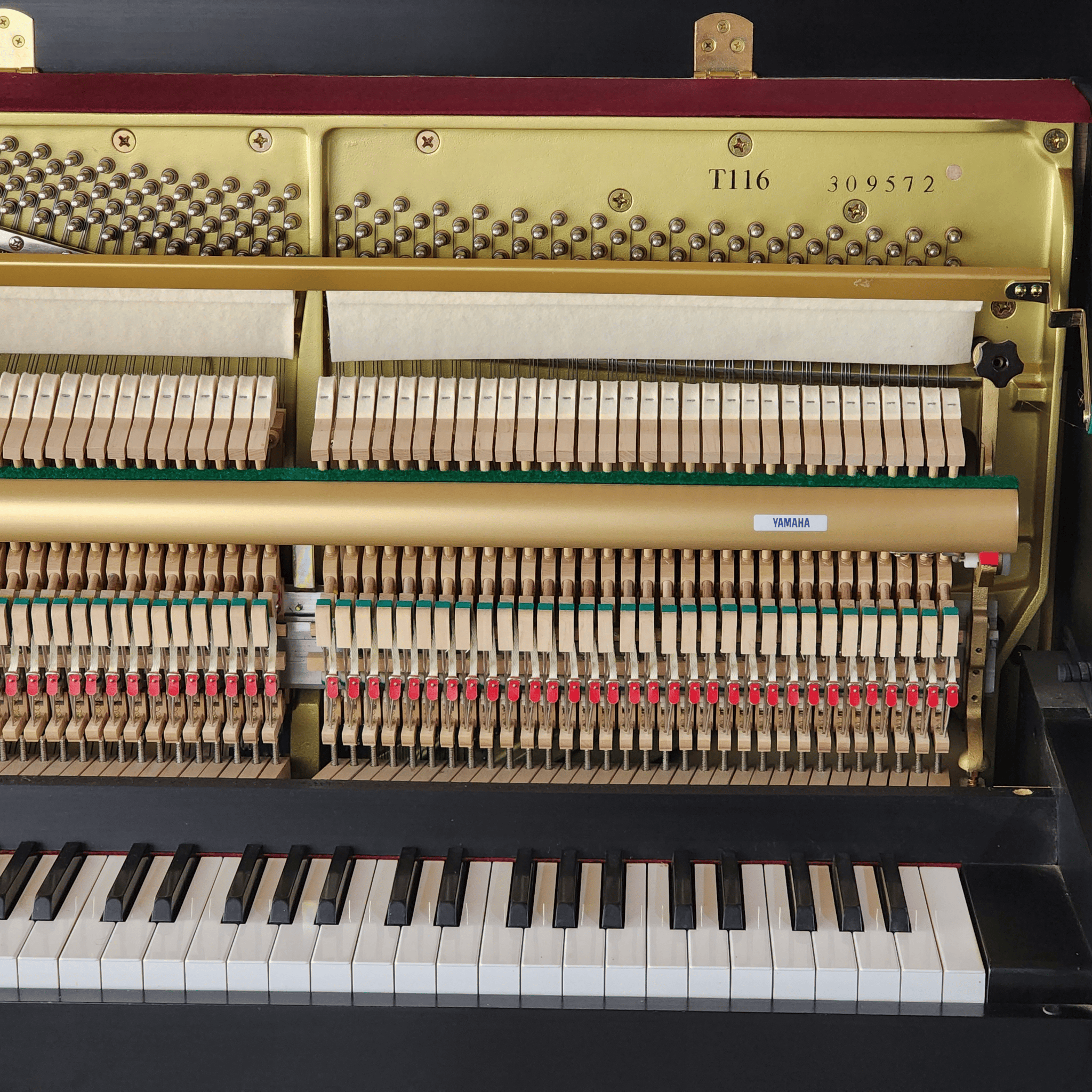 Yamaha T116 - Image 3